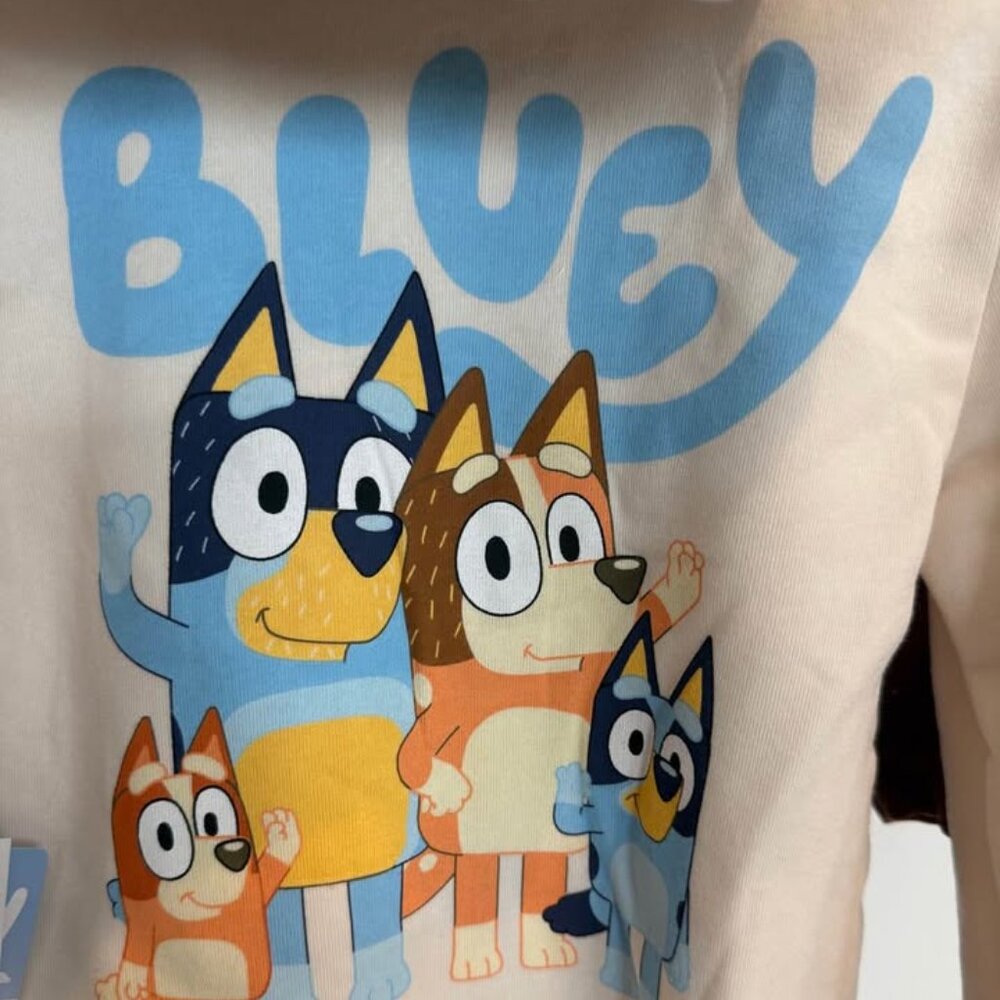 NWT 2-Piece Boys Grey Set – Hoodie & Pants Size 5T